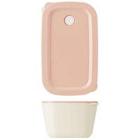 スケーター 保存容器 システムコンテナランチ 4個入 398209 1個（直送品）