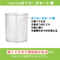 カメヤマ 手作りキャンドル ボタニカルゼリーキャンドルキット 400924 1個（直送品）