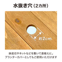 タカショー ベジテラスプランター ナチュラルウッド WSP-05N 1個（直送品）