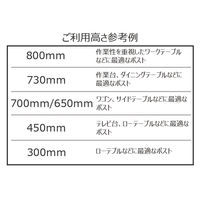 【軒先渡し】エレクター　ベーシックシリーズ　ポール　高さ1900mm ステンレス B74PS2　1組2本（直送品）