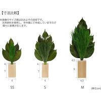 A&K 荒神松Mタイプ 榊立てセット 4573493483026 1個（直送品）
