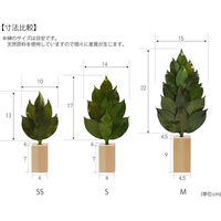 A&K 榊Mタイプ 榊立てセット 4573493482999 1個（直送品）