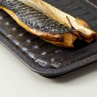 アイメディア 魚焼きトレー グリル専用 マーブル加工 グリルのお手入れ簡単魚焼きトレー 337549 1個（直送品）