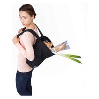 アイメディア エコバッグ リュック型 16L コンパクトにたためる買い物バッグ ブラック 330701 1個（直送品）