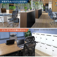 ネットフォース イーセンブリー オープン書庫 2段 ホワイト EA-8040-2N2N-AW-WH 1セット（直送品）