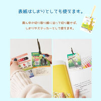 原ウール HARAWOOL 東山動物園 動物ワッペン ライオン 1セット（4枚）（直送品）