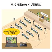 サンワサプライ 4入力1出力HDMIスイッチャー(4K対応/画面分割/キャプチャ機能付き) SW-UHD41UVC 1個