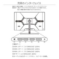 31.5インチ ワイド液晶ディスプレイ(3840x2160/IPS/HDMIx3/DP/スピーカー/チルト/非光沢) JN-IPS315UHDR 1個