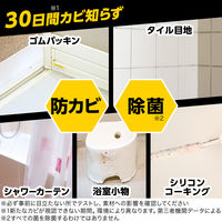 茂木和哉 カビとりジェル ゴムパッキン・タイル目地用 200g 1セット（2個） レック