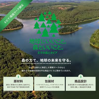 ティッシュペーパー 200組（5箱入）ネピeco ティシュ 王子ネピア　1ケース(60箱:5箱入×12パック)