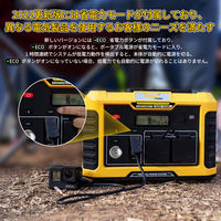 ポータブル電源 蓄電池 933Wh容量 定格1000W出力 ADVANCE1000 1台 TogoPower
