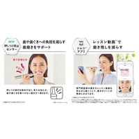 パナソニック 音波振動ハブラシ ドルツ EW-DP56-P 1台