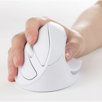 ナカバヤシ 無線静音5ボタンエルゴノミクスマウスホワイト MUS-RKF179W 1個（直送品）