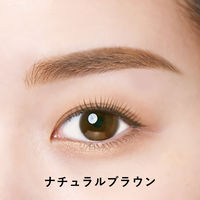 スタイリングライフ・ホールディングス　BCL カンパニー ブロウラッシュEX　ウルトラスキニーペンシルブロウ02 　 １セット(９６本)（直送品）