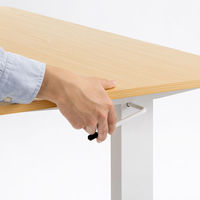 【アウトレット】サンワサプライ ガス昇降デスク 幅900×奥行600×高さ683～1070mm 薄い木目×ホワイト ERD-G9060LM 1台（直送品）
