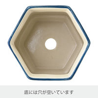 ヘッズ ハンドメイドプリントフラワーポット-20(1個) HNP-FPO20 1セット(4パック×1個)（直送品）