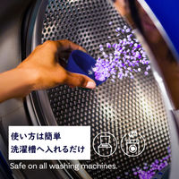 ダウニー（Downy） インフュージョン香りビーズ カーム 257g 1個 香り付け専用剤 P＆G