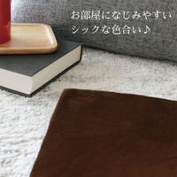 iiもの本舗 高反発シートクッション 40×40cm ブラウン 4589596693972 1セット(3枚)