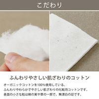 【アウトレット】オーガニック コットン パフ 148枚入 大判 60×75mm 無漂白 オリジナル 1セット（740枚：148枚×5袋）  オリジナル