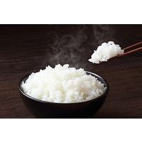 むらせ 山形県産雪若丸 20kg 25024 4袋(5kgx4)（直送品）