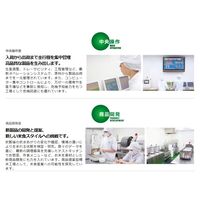 むらせ 【無洗米】山形県産はえぬき 10kg 25032 2袋(5kgx2)（直送品）