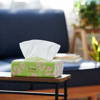 エリエール イーナ ソフトパック ティッシュペーパー 200組 1箱(60個:6個入×10パック) 大王製紙