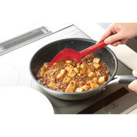 貝印 お玉 O.E.C. 脇雅世 パワー・スプーン レッド 295118 1個（直送品）