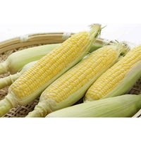 下村企販 コーンカッター キュートクック とうもろこしカッター 266385 1個（直送品）