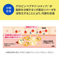 ナップル粒120粒（30日分）【機能性表示食品】 2個 ロート製薬