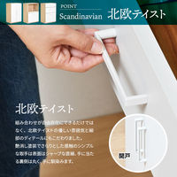 B.Bファニシング AFFOGATO 単品タイプ オープン引出 幅600×奥行400×高さ900mm AFCH0096KRT60 1台（直送品）