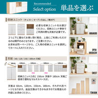 B.Bファニシング AFFOGATO 3列タイプ オープン引出 幅1800×奥行400×高さ900mm AFCH0102KRKRK 1台（直送品）