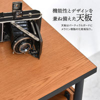 B.Bファニシング Francis センターテーブル 幅750×奥行750×高さ400mm FRCT0090MEBRN 1台（直送品）