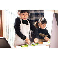 サンクラフト DIG-301 台所育児セット3点 右用 1セット（直送品）