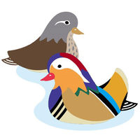 聖新陶芸 聖新 EG-59 鳥のことわざ たまご占い　1袋（直送品）