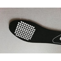 F20861 消臭抗菌シート インソール用　1パック 富士商（直送品）