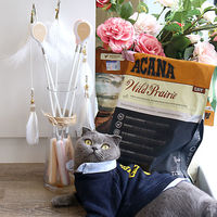 ベムパートナー ベム AW-C-020 ねこじゃらしDX ピンクW 1本（直送品）