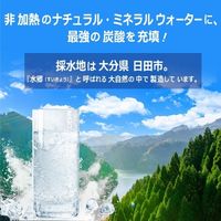 日本ビール 龍馬 POWER SODA PET 500ml 1箱（24本入）