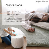 トシシミズ ナチュラルポスチュアー 新EXマイクロ2層ウレタン ラグ MS-305 190×190cm ベージュ 1枚（直送品）