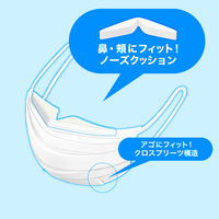 大容量 白元アース 快適ガードプロ プリーツタイプ ふつうサイズ 1セット（30枚入×2箱）