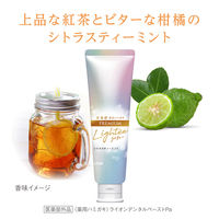 Lightee（ライティー） ハミガキPREMIUM シトラスティーミント 53g 1セット（2本） ライオン 歯磨き粉 美白