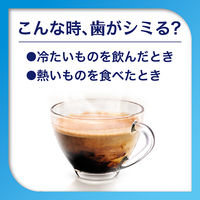 歯磨き粉 フッ素 シュミテクト コンプリートワンEX プレミアム ナチュラルミント 90g 1セット（4本）薬用高濃度フッ素配合