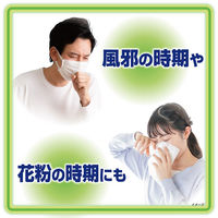 熱さまシート 大人用 リフレッシュミントの香り 1セット（12枚入×3箱）冷却用品 冷却シート 冷感 小林製薬