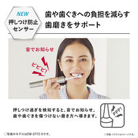 パナソニック 音波振動ハブラシ ドルツ EW-DA46-H 1台