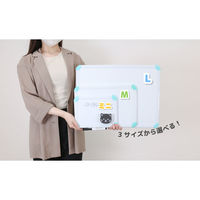 アスカ ホワイトボード ブルー ミニ WB079B 1セット(2枚)