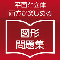 ハナヤマ かつのう ペントミノ2D+3D 68956 1セット(6個)（直送品）
