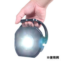 長輝LITETEC LED投光器 15W 充電式 PO-01B 1台