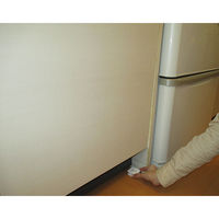 アース製薬 ホワイトキャップ ゴキブリホウ酸ダンゴ 16個 782548 1ケース（30個×16個）（直送品）