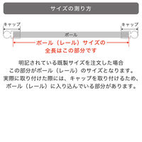 TOSO 装飾カーテンレール〈モノ・Cキャップ・ラテホワイト〉S2.1mセット 4975559898384 1セット（直送品）