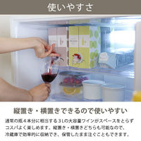 【アスクル・ロハコ限定】白ワイン　チリ　サンタ・レジーナ BIB シャルドネ 3L 1セット（2個） 辛口 オリジナル