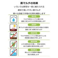岩谷マテリアル 岩谷 菜園用黒マルチ 0.02mm×1350mm×50m 2100735 1巻（直送品）